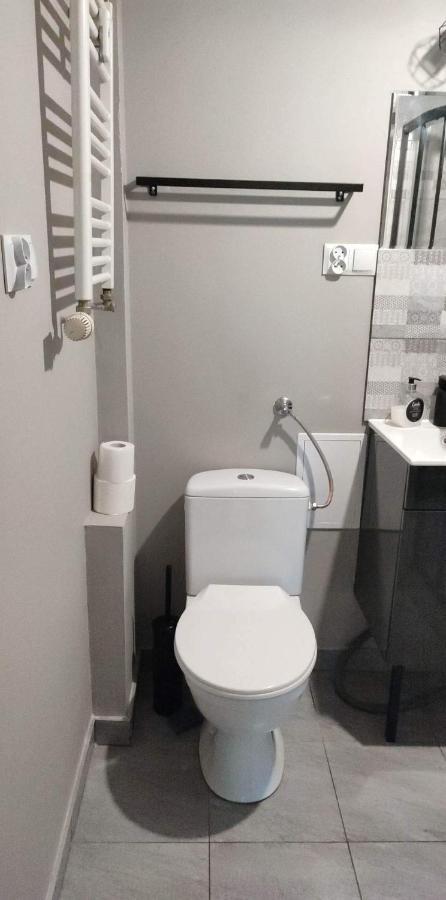 Apartament Dolna Wilda - Klucz W Skrytce Apartment Познан Екстериор снимка